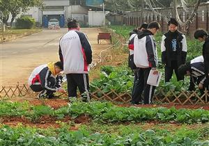筑巢引凤栖高枝 花开蝶舞春如诗 ——菠菜信誉平台集合网建设自治区星级学校校企合作专题报道之七