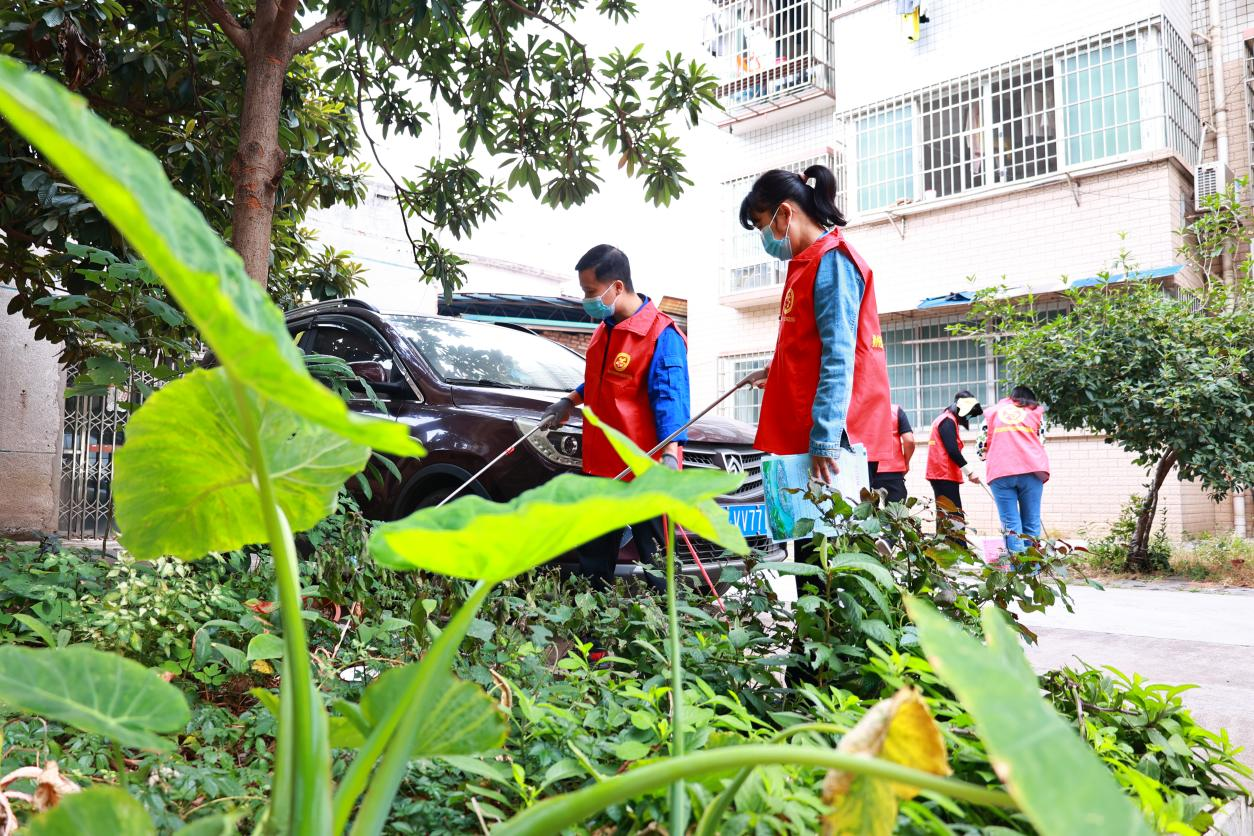 菠菜信誉平台集合网党委积极开展培育践行主流价值新时代文明实践系列活动 ——党员志愿者“四联双报到” 参与疫情防控工作