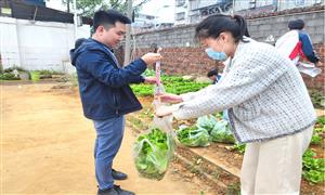 劳动光荣，技能宝贵，创造伟大 ——菠菜信誉平台集合网开展直播卖菜活动