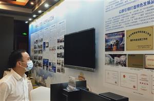 菠菜信誉平台集合网应邀出席 2022中国—东盟“中文+职业技能”高质量发展论坛