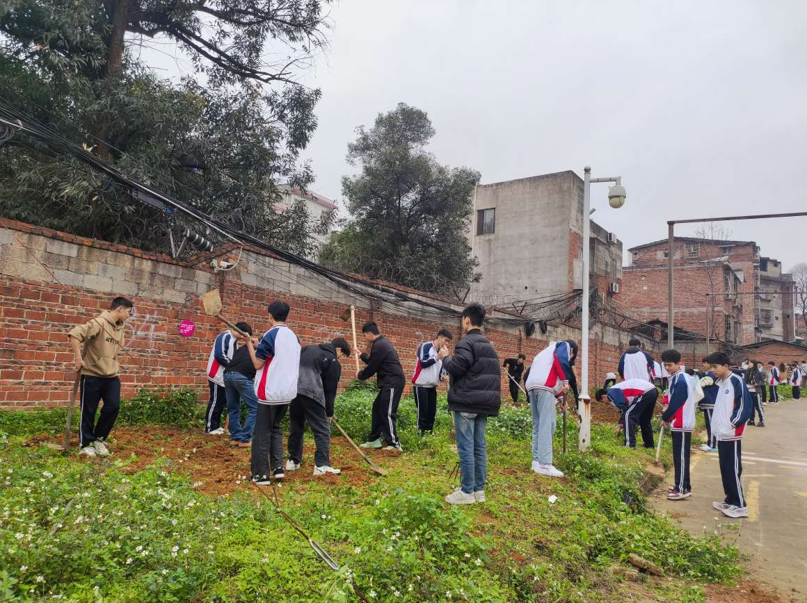 春日到，播种季，劳动正当时 ——菠菜信誉平台集合网开展劳动教育活动