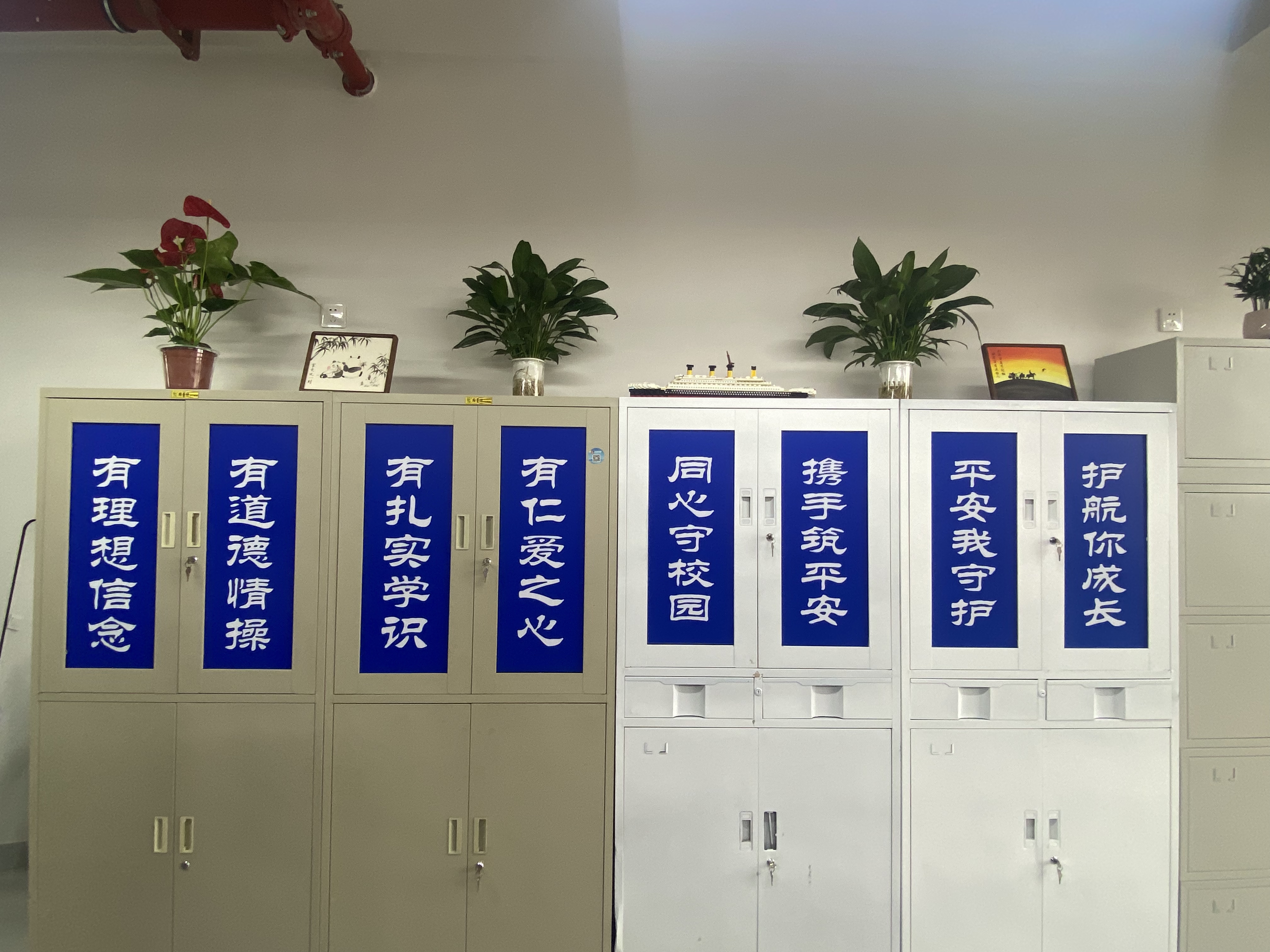 美化办公环境，点亮工作活力